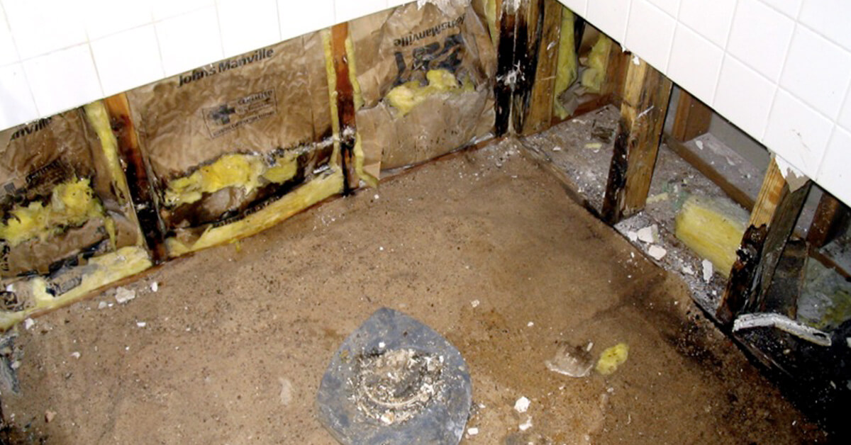  Professional Mold Removal in Stanely, WI