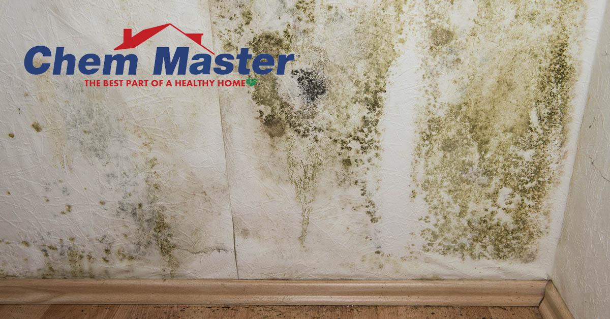  Certified Mold Remediation in Eau Claire, WI