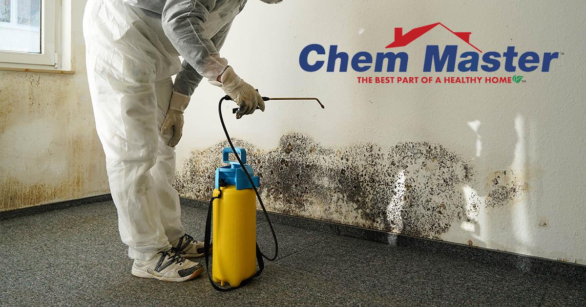  Professional Mold Removal in Durand, WI
