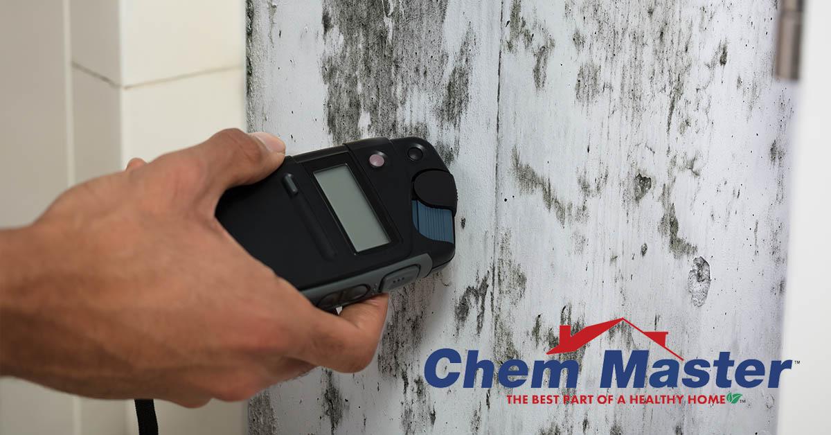 Professional Mold Removal in Chippewa Falls, WI