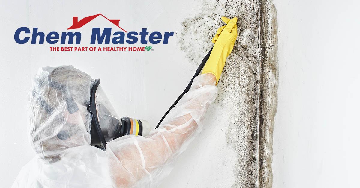  Certified Mold Removal in Bloomer, WI