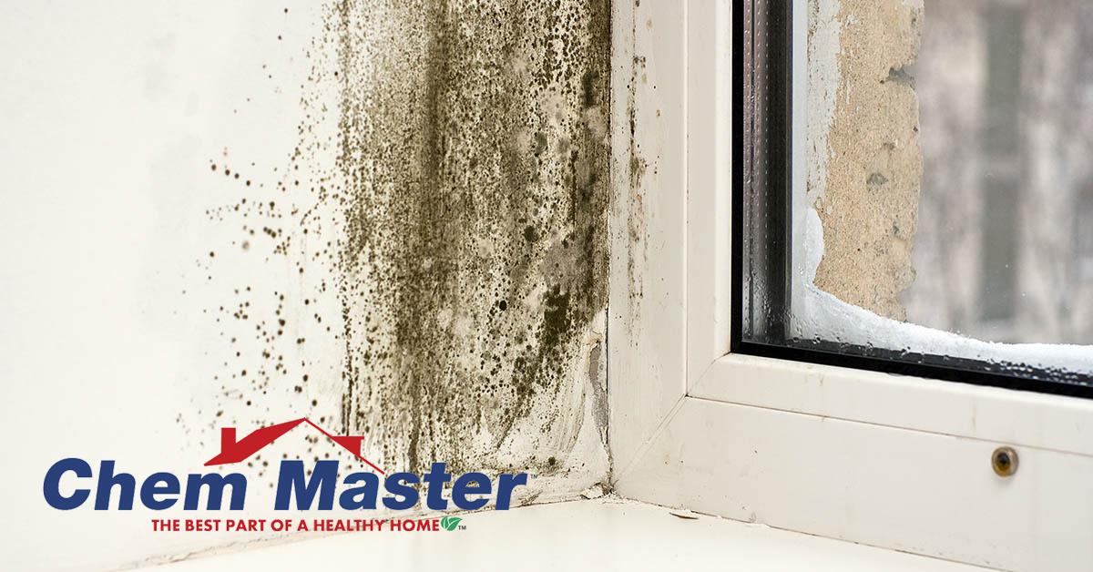  Professional Mold Removal in Durand, WI
