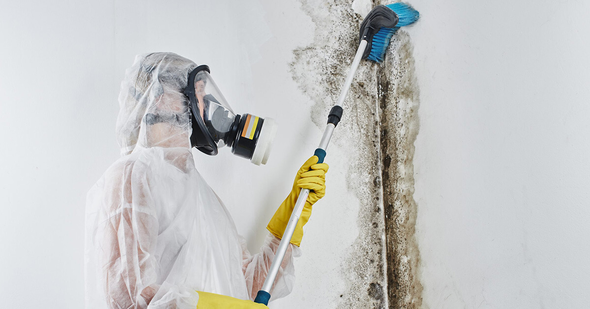  Professional Mold Removal in Birchwood, WI