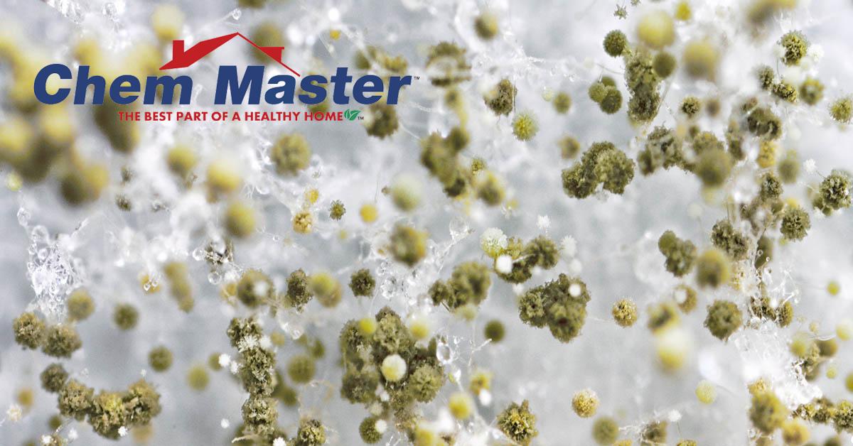  Professional Mold Mitigation in Osseo, WI
