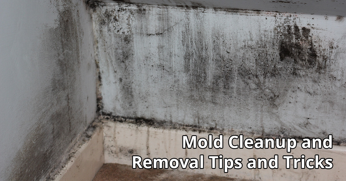   Mold Mitigation Tips in Durand, WI