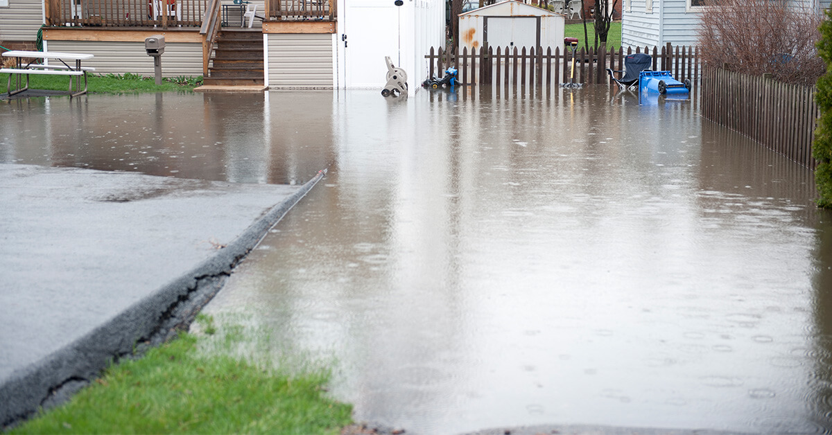  Professional Water Damage Remediation in Stanely, WI