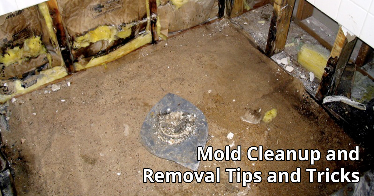   Mold Removal Tips in Chetek, WI