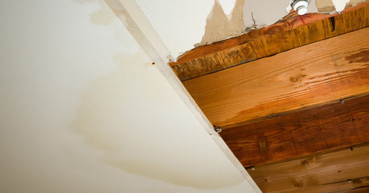  Professional Water Damage Cleanup in Eau Claire, WI