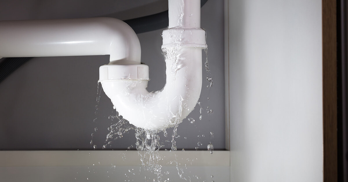  Professional Water Damage Mitigation in Durand, WI