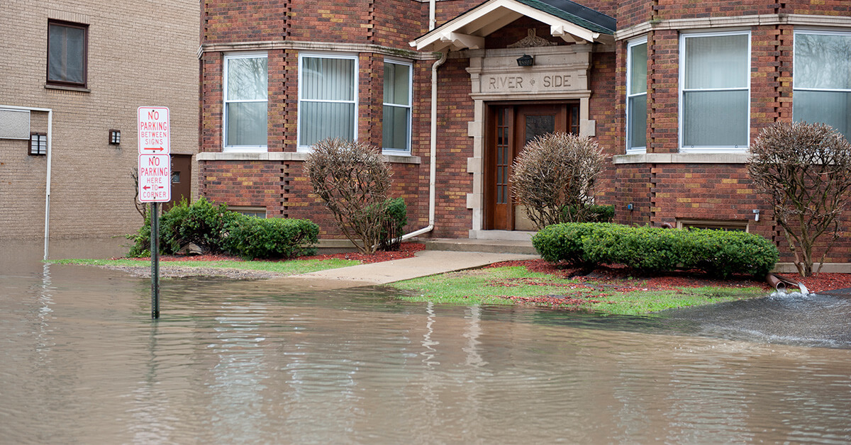  Professional Flood Damage Cleanup in Osseo, WI