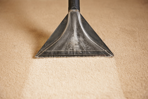  Professional Carpet cleaning in Rice Lake, WI