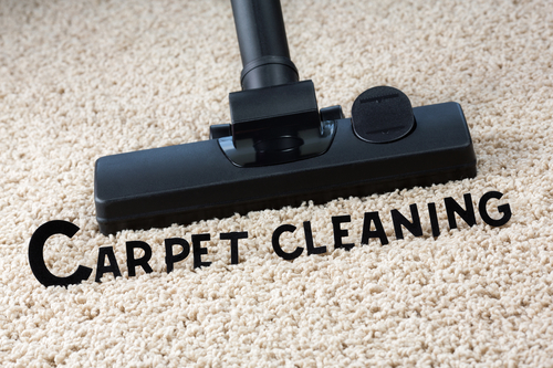  Affordable Carpet cleaning in Rice Lake, WI